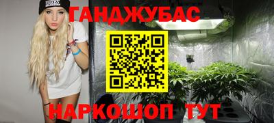 скорость Новодвинск
